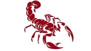 naklejka-skorpion-bordowa.jpg