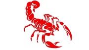 naklejka-skorpion-czerwona-neon.jpg