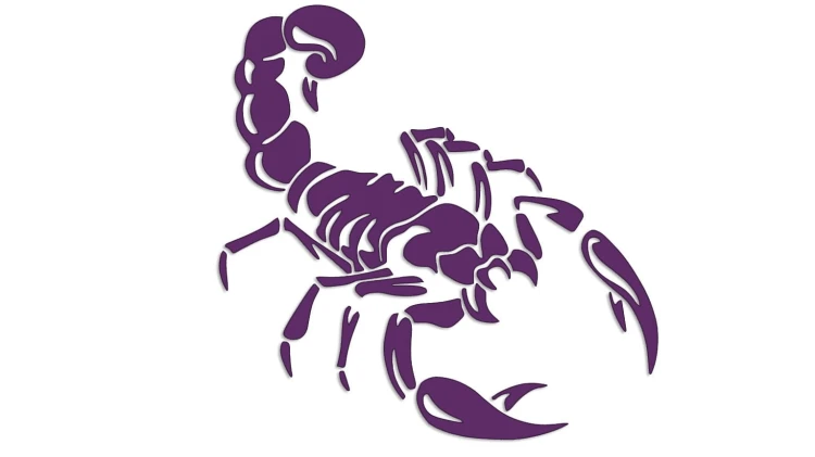 naklejka-skorpion-fioletowa.jpg