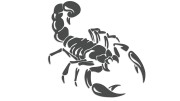 naklejka-skorpion-grafitowa.jpg