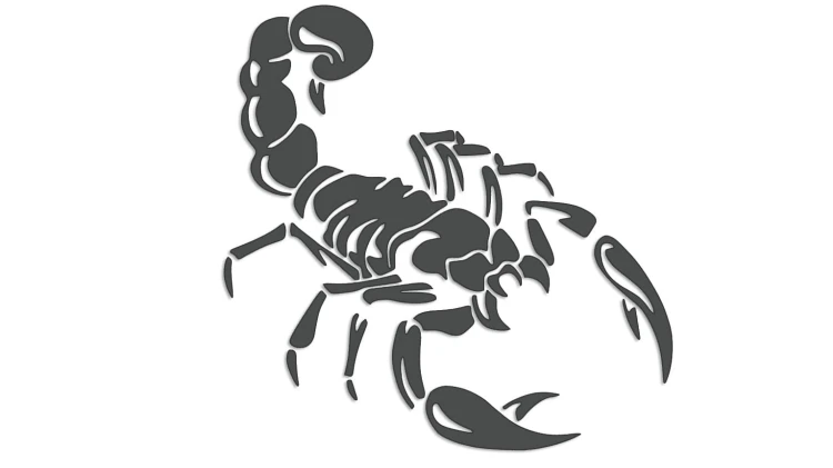 naklejka-skorpion-grafitowa.jpg