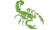 naklejka-skorpion-jasny-zielony.jpg