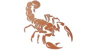 naklejka-skorpion-miedziana.jpg