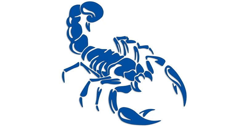 naklejka-skorpion-niebieska.jpg