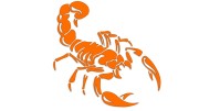 naklejka-skorpion-pomaranczowa.jpg