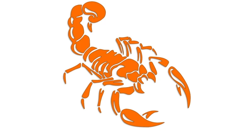 naklejka-skorpion-pomaranczowa.jpg