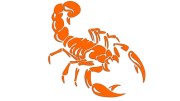 naklejka-skorpion-pomaranczowa-neon.jpg