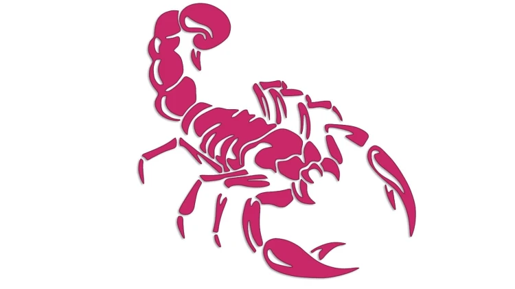 naklejka-skorpion-rozowa.jpg