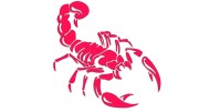 naklejka-skorpion-rozowa-neon.jpg