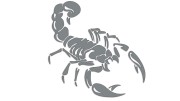 naklejka-skorpion-szara.jpg