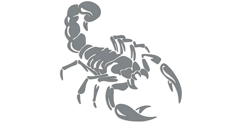 naklejka-skorpion-szara.jpg