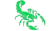 naklejka-skorpion-zielona-neon.jpg