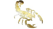naklejka-skorpion-zloty-chrom.jpg