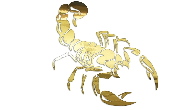 naklejka-skorpion-zloty-chrom.jpg