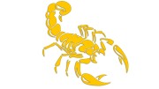 naklejka-skorpion-zolta.jpg