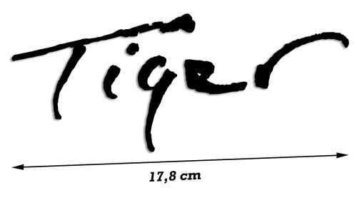 naklejka-triumph-tiger.jpg