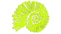 naklejka-amonit-zolta-neon.jpg