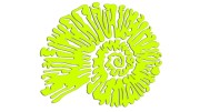 naklejka-amonit-zolta-neon.jpg