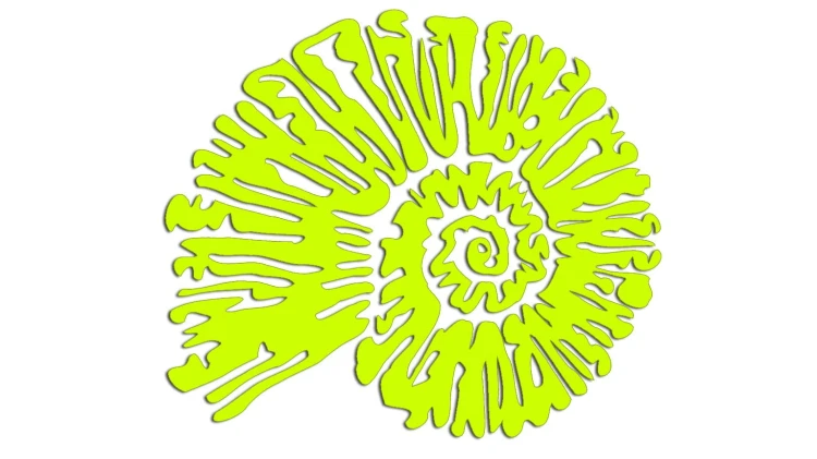 naklejka-amonit-zolta-neon.jpg