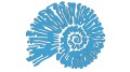 naklejka-amonit-blekitna.jpg
