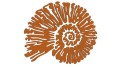 naklejka-amonit-brazowa.jpg