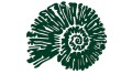naklejka-amonit-ciemny-zielony.jpg