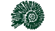 naklejka-amonit-ciemny-zielony.jpg