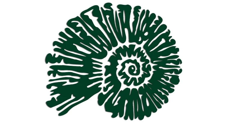 naklejka-amonit-ciemny-zielony.jpg