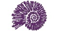 naklejka-amonit-fioletowa.jpg