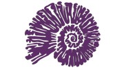 naklejka-amonit-fioletowa.jpg