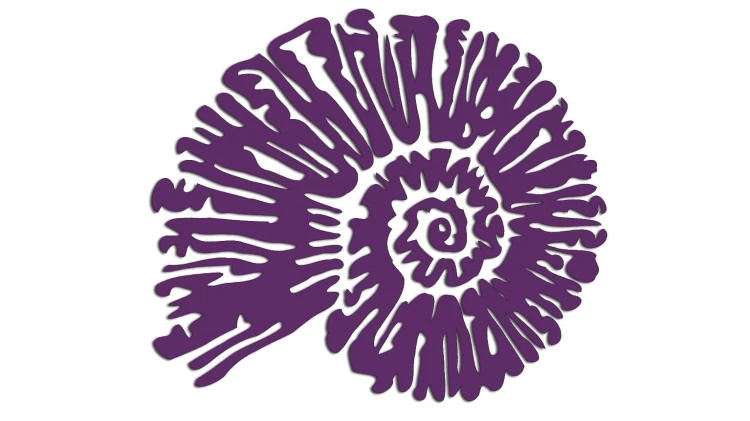naklejka-amonit-fioletowa.jpg