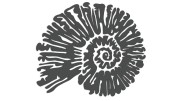 naklejka-amonit-grafitowa.jpg