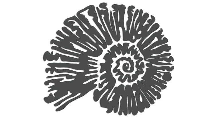 naklejka-amonit-grafitowa.jpg