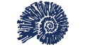 naklejka-amonit-granatowa.jpg