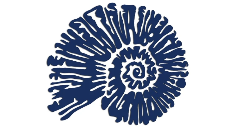 naklejka-amonit-granatowa.jpg