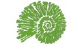 naklejka-amonit-jasny-zielony.jpg