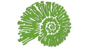 naklejka-amonit-jasny-zielony.jpg