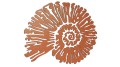 naklejka-amonit-miedziana.jpg