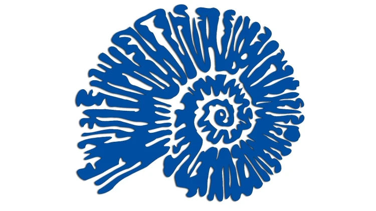 naklejka-amonit-niebieska.jpg