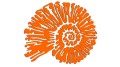 naklejka-amonit-pomaranczowa-neon.jpg