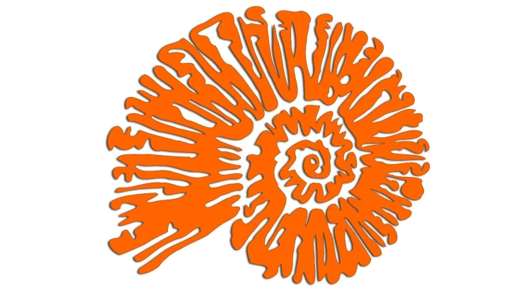 naklejka-amonit-pomaranczowa-neon.jpg