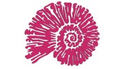naklejka-amonit-rozowa.jpg