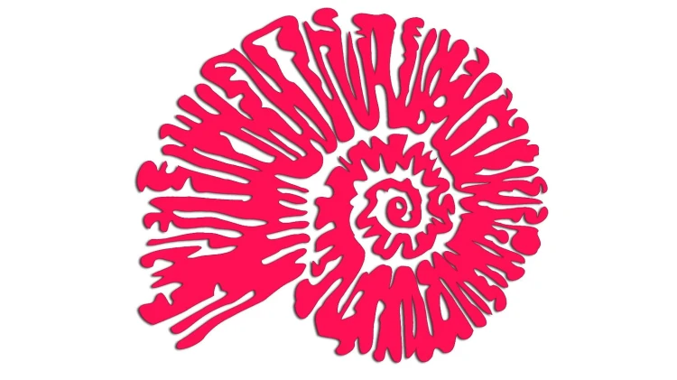 naklejka-amonit-rozowa-neon.jpg