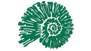 naklejka-amonit-zielona.jpg