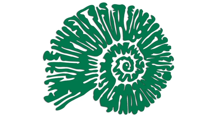 naklejka-amonit-zielona.jpg