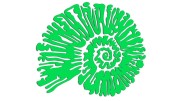 naklejka-amonit-zielona-neon.jpg