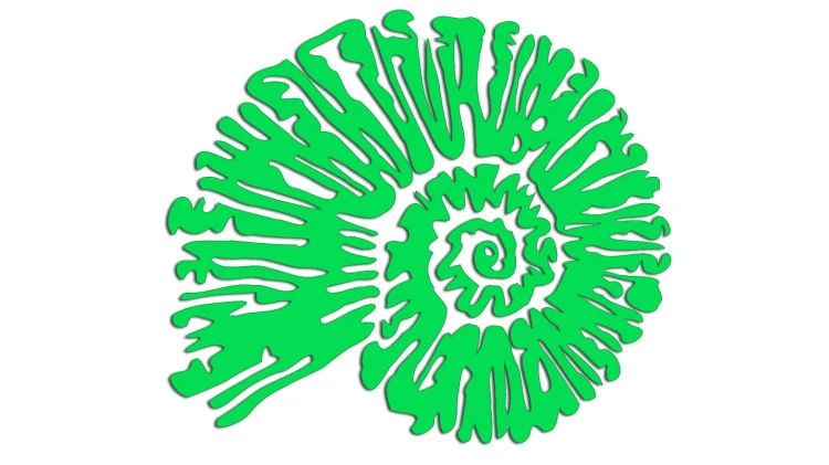 naklejka-amonit-zielona-neon.jpg