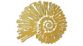 naklejka-amonit-zlota.jpg