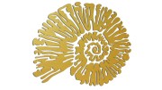 naklejka-amonit-zlota.jpg