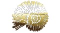 naklejka-amonit-zloty-chrom.jpg